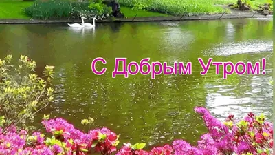 доброеутро #сдобрымутром #утро #fyp #музыка #осень #добро | TikTok