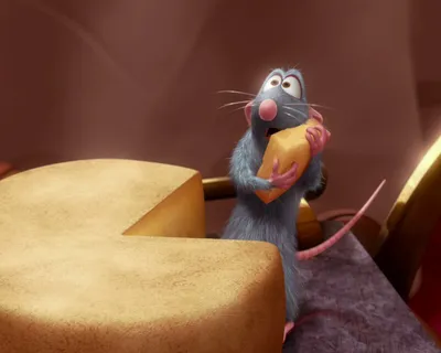 Мыши любят сыр ?