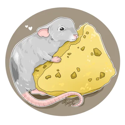 Мышь и сыр стоковое изображение. изображение насчитывающей мышь - 33853069