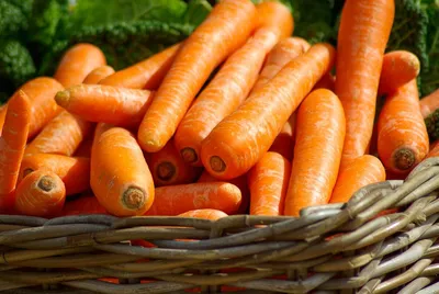 На картинке красная морковь. поезд …» — создано в Шедевруме
