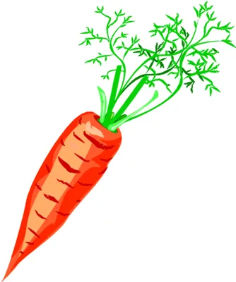 Раскраски раскраски красная шапочка раскраска красивой морковки для...
