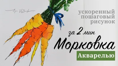 Морковка: 4 цвета, 4 вкуса - Поваренок - Козоводство в Украине, России,  СНГ: форум, хозяйства, рынок
