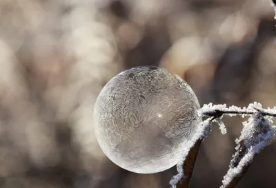 Изобразить начало зимы в лесу возле…» — создано в Шедевруме