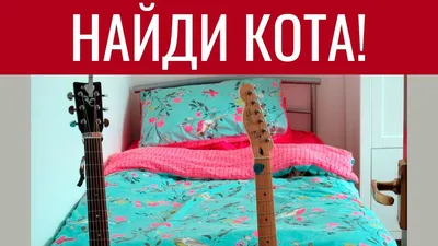 Найди кошку на картинке и докажи, что ты самый внимательный | Офигенно |  Дзен