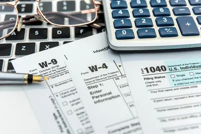 Налоги организации 2023: виды налогообложения юридических лиц, ставки, суммы
