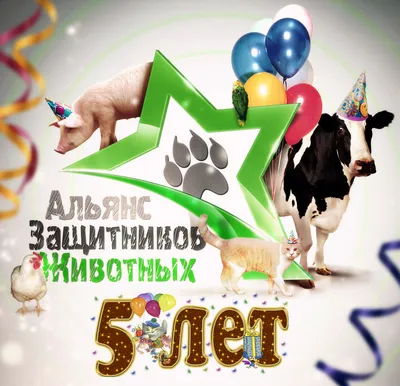 Нам 5 лет!