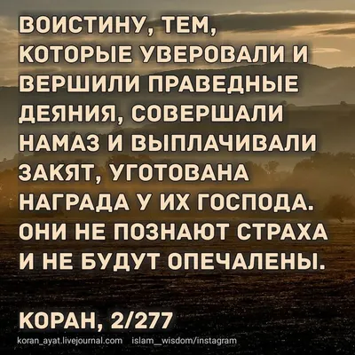 kurbonaliev_3835 - Утренний НАМАЗ ! | Facebook