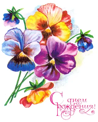 Нарисованная поздравительная открытка с днём рождения — Скачайте на Davno.ru