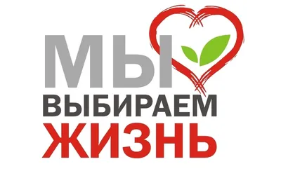 Плакат \"Скажи наркотикам нет\" (арт.АГ-08) купить в Москве с доставкой: цены  в интернет-магазине АзбукаДекор