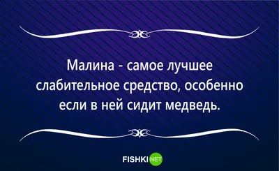 У тебя нет настроения? Испорти его другим! Чё это у них есть, а у тебя нет?!  » Демотиваторы по-русски - Создать демотиватор