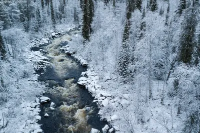 Это Финляндия - 😅 ❄ Наконец-то наступила зима по всей Финляндии.  Долгожданный снег выпал даже на юге страны. Говорят, что язык отражает  реальность, и в каждом языке есть слова для важных явлений