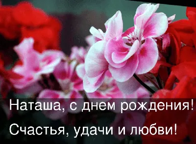 Поздравляем именинников! - стр. 62 - Свободная тема! - Виноградные регионы