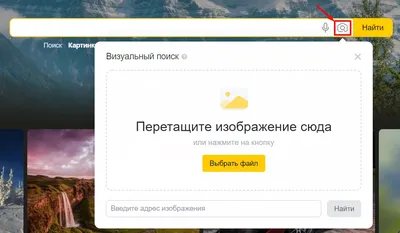Как найти по фото в Яндексе или Google с телефона и компьютера