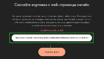 Как найти фильм по картинке: поиск по фото, в Яндексе, Google, через  галерею телефона и другие способы - Hi-Tech Mail.ru