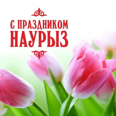 Наурыз – праздник народной души — Новости Шымкента