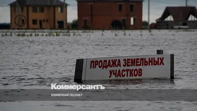 Наводнение на Дальнем Востоке подняло цены на сою — РБК