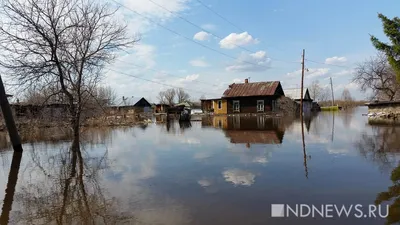 Неслыханное наводнение-2013 в ЕАО заставило мобилизовать все силы -  EAOMedia.ru
