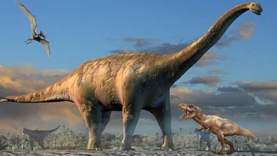 Динозавры – виды, список с изображениями, названия, описание, когда жили,  где обитали, видео - Научно-популярный журнал: «Как и Почему»