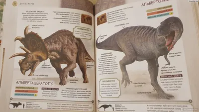 Динозавры онлайн dinosaurs, бесплатно динозавры хищные, фото динозавры  юрского периода, доисторические динозавры в картинках, самый большой  динозавр, виды динозавров энциклопедия, скелет динозавра, названия  динозавров эпоха, ихтиозавры, плезиозавры ...