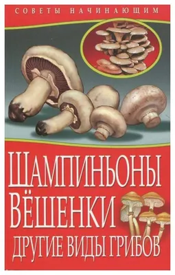 На юге России ученые обнаружили новые виды грибов - Российская газета