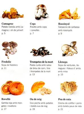грибы и виды грибов, виды грибов картинки, гриб, еда фон картинки и Фото  для бесплатной загрузки