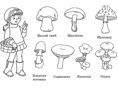 Грибы несъедобные рисунок - 52 фото