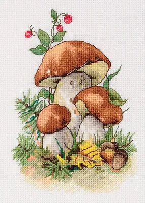 Набор для вышивания крестом Panna Белые грибы