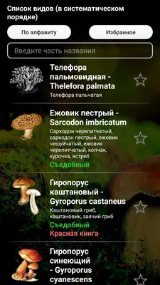 Поиск грибов по фото онлайн: программы-справочники и приложения на телефон  для распознавания грибов
