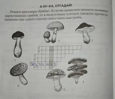 Эксмо Лесной гид: грибы, ягоды, травы. Карманный