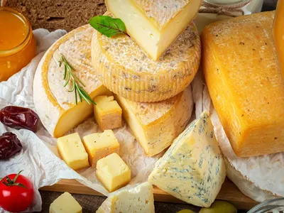 Виды сыров – сорта, способы отжима, жирность | Твердые, полутвердые и  мягкие сорта сыров – как выбирать, чем отличаются, какой вкус