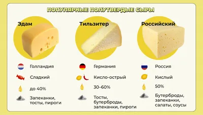 Виды сыров и названия: какие бывают сорта, список лучших разновидностей