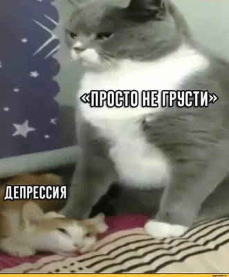 Не грусти!)))) Уже Вторник.)))) — Сообщество «Позитивов☺зы» на DRIVE2