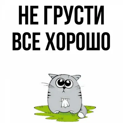 Не грусти картинки прикольные фотографии