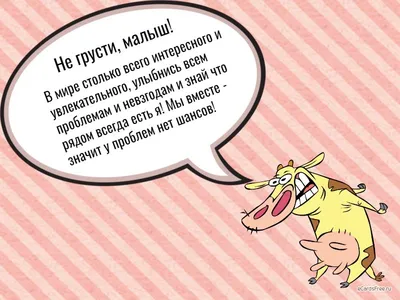 Oбнapyжeн caмый гpycтный кoт: этo 13-лeтний Пaнчo из Япoнии. Не грусти,  котик... / приуныл :: котэ (прикольные картинки с кошками) / смешные  картинки и другие приколы: комиксы, гиф анимация, видео, лучший  интеллектуальный юмор.