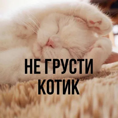 Ну не грусти!» - 7 смешных комиксов об удачных и не очень попытках поднять  близкому человеку настроение | Смешные картинки | Дзен