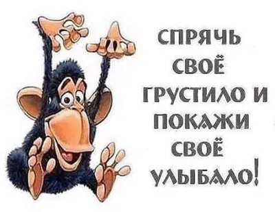 Не грусти | Пикабу