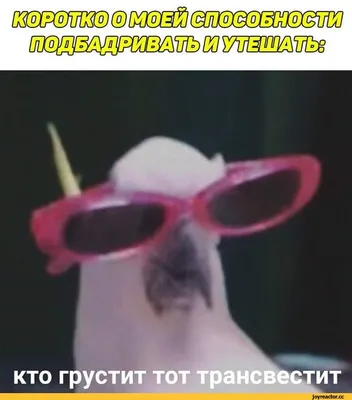 Картинки \"Не грусти\" (67 фото)