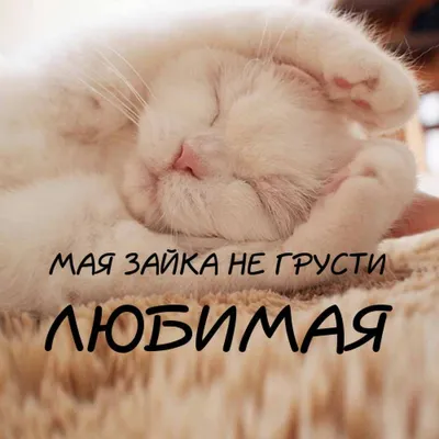 не грусти) | Милые сообщения, Мемы, Юмор о разводе
