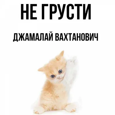 Ржачные картинки не грусти (46 фото) » Юмор, позитив и много смешных  картинок