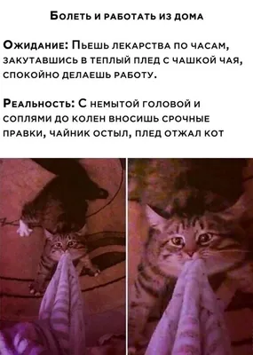 Не грусти, а то попа не будет расти... Я вот не грустила, ... | \"БУМАЖНЫЙ  ЗМЕЙ\") | Фотострана | Пост №2260895532