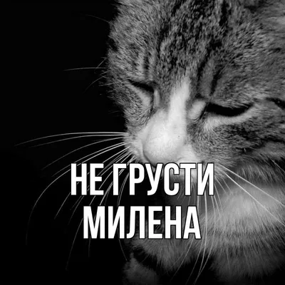 Улыбнись и не грусти: прикольные утренние шутки - Телеграф