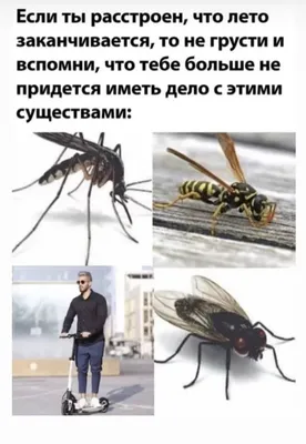 Не грусти моя родная... | Мои стихи ... | Дзен