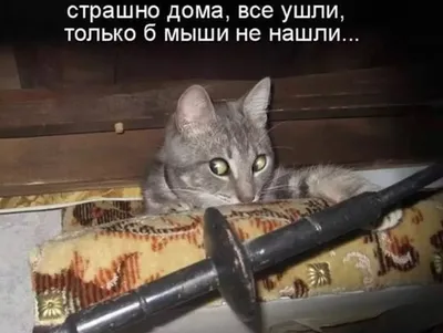 Не скучай улыбнись картинки фотографии
