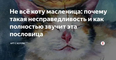 Не всё коту масленица – ППМВК