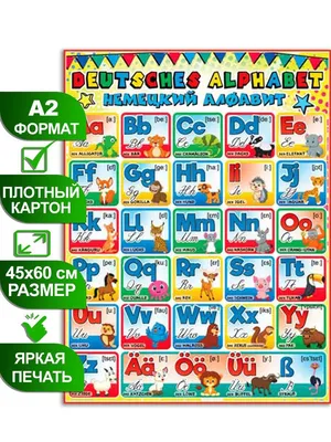 Обучающий плакат \"Немецкий алфавит\", формат А2, 45х60 см, картон - купить с  доставкой по выгодным ценам в интернет-магазине OZON (659293790)