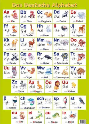 Digital Poster - Полезное для учителя: Немецкий алфавит в картинках для  детей c транскрипцией