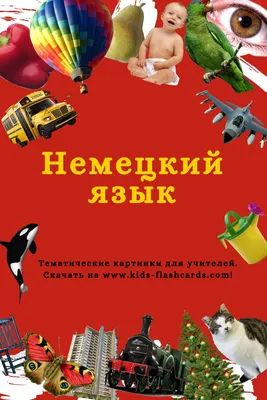 Алфавит Русский - Плакат, Азбука с Картинками Животных, Постер Детский -  купить с доставкой по выгодным ценам в интернет-магазине OZON (1178508063)