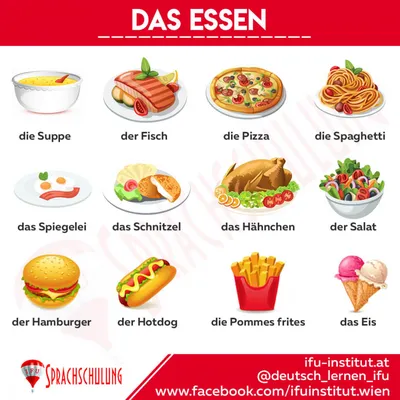 Немецкий язык в картинках купить с доставкой в интернет-магазине |  janzenshop.de
