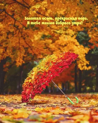 Осенние картинки \"С Добрым Утром!\" (359 шт.)