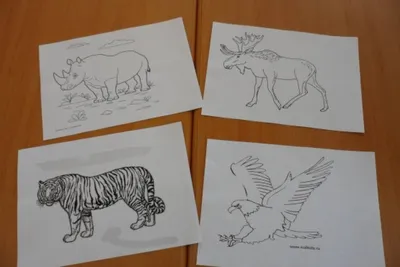 Тест «Несуществующее животное»: интерпретация и анализ рисунка
